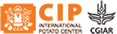 CIP Logo